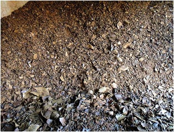 有機質(zhì) 有機質(zhì)