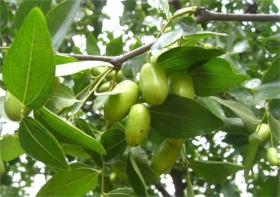 TIM截圖20180505155516.png TIM截圖20180505155516.png