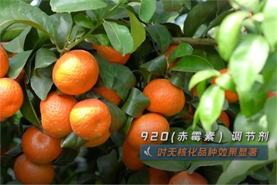 640 (4)123.png 640 (4)123.png