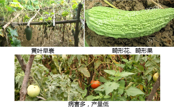 微補 微補