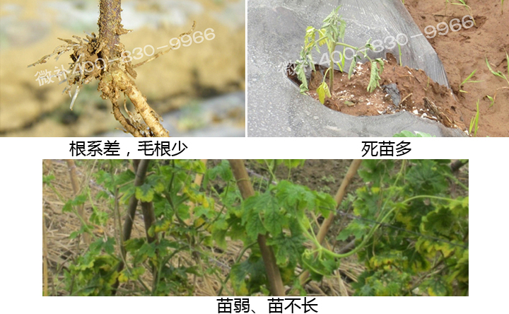 微補 微補