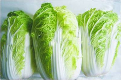 #微肥課堂#白菜類(lèi)蔬菜對哪些營(yíng)養元素敏感？