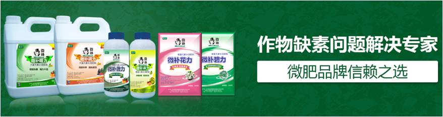 #微肥課堂#為什么葉面肥養分含量相同，效果卻不同？
