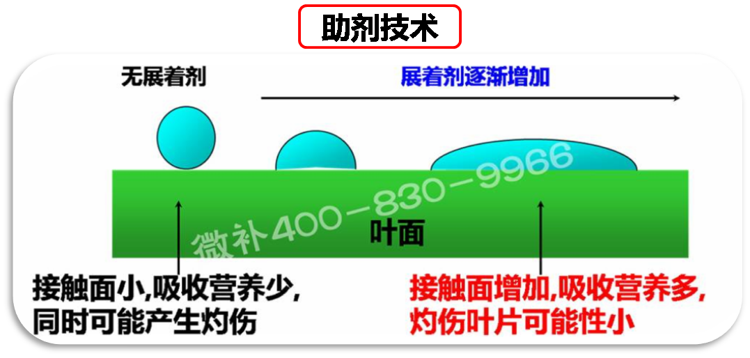 余教授德國鄉村行：我在德國為什么不會(huì )點(diǎn)啤酒了？