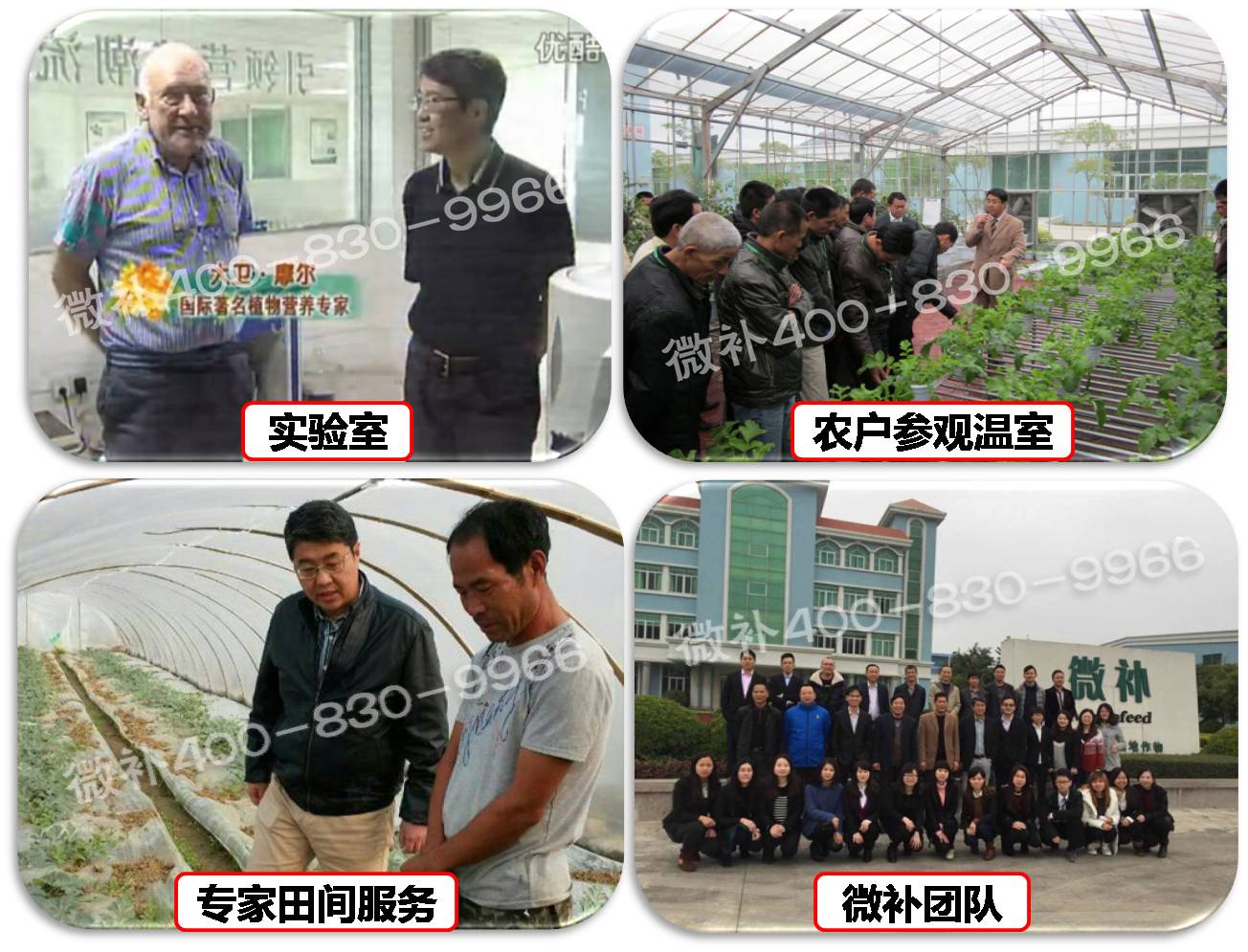 余教授奧地利維也納行：不懂音樂(lè )的農民教授，在音樂(lè )之都的感受