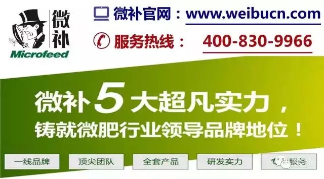 余教授奧地利維也納行：不懂音樂(lè )的農民教授，在音樂(lè )之都的感受