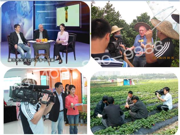 廣東電視臺搖錢(qián)樹(shù)欄目的余教授 廣東電視臺搖錢(qián)樹(shù)欄目的余教授