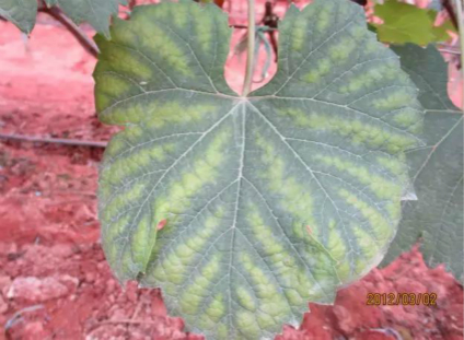 1_meitu_1.jpg 1_meitu_1.jpg