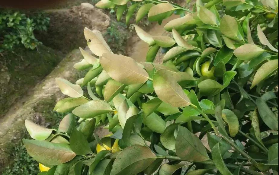 微信圖片_20191124145936.jpg 微信圖片_20191124145936.jpg