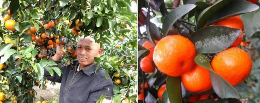 微信圖片_20191204141114.jpg 微信圖片_20191204141114.jpg