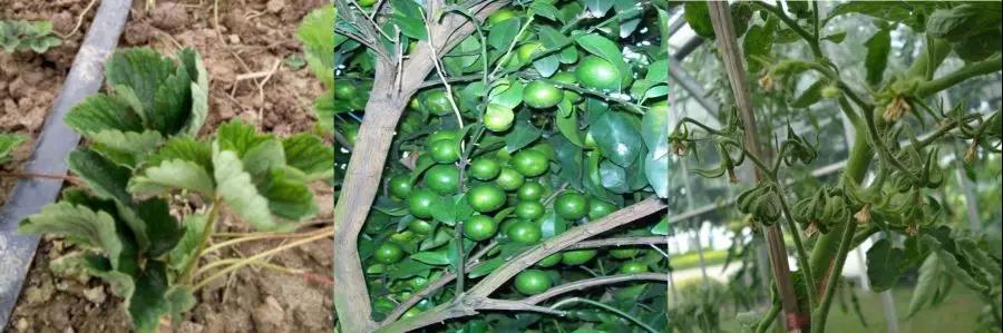 微信圖片_20200103144224.jpg 微信圖片_20200103144224.jpg