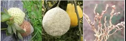 微信圖片_20200103144232.jpg 微信圖片_20200103144232.jpg