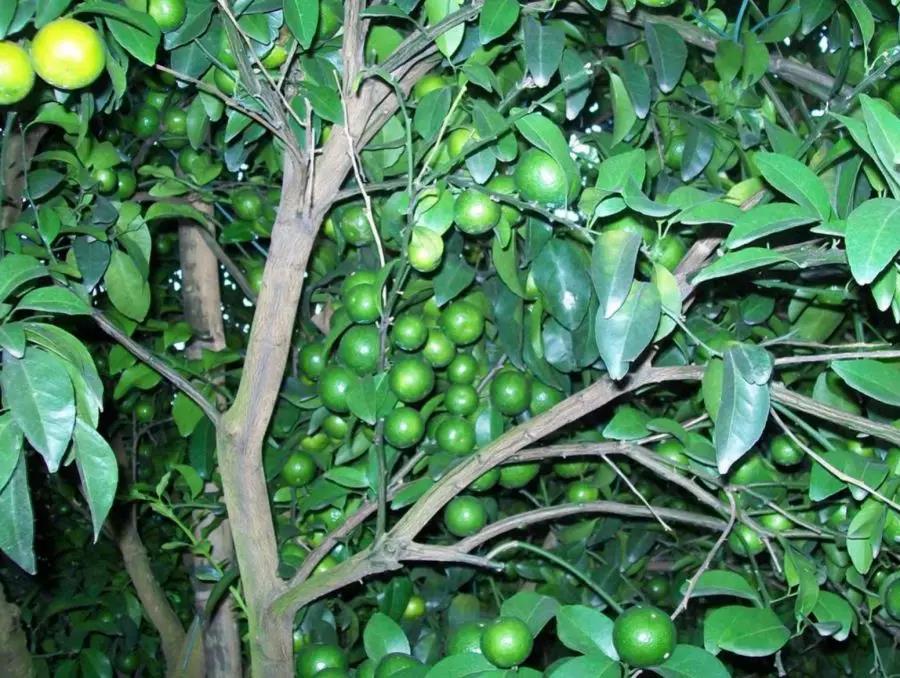 微信圖片_20200103144236.jpg 微信圖片_20200103144236.jpg