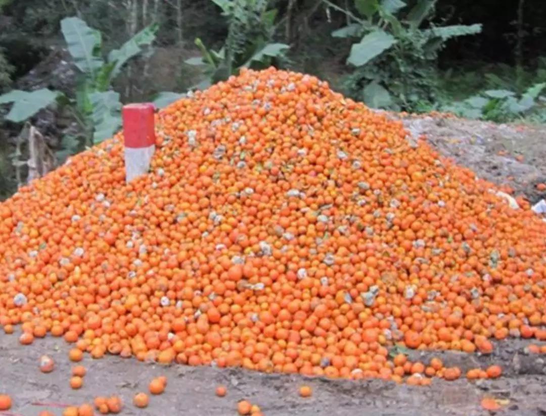 微信圖片_20200103144251.jpg 微信圖片_20200103144251.jpg