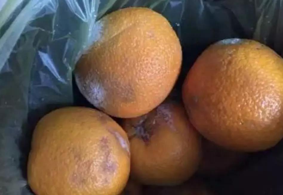 微信圖片_20200103144256.jpg 微信圖片_20200103144256.jpg