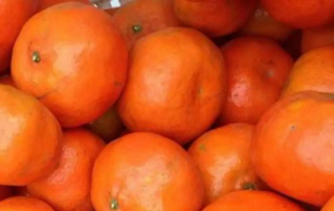 微信圖片_20200103144313.jpg 微信圖片_20200103144313.jpg