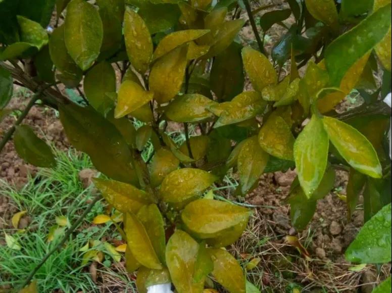 微信圖片_20200103144318.jpg 微信圖片_20200103144318.jpg