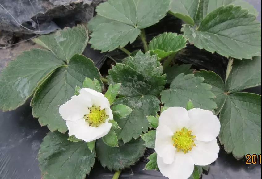 微信圖片_20200103144322.jpg 微信圖片_20200103144322.jpg