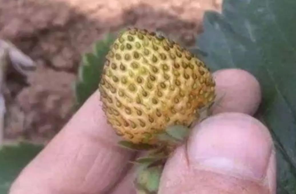 微信圖片_20200103144325.jpg 微信圖片_20200103144325.jpg