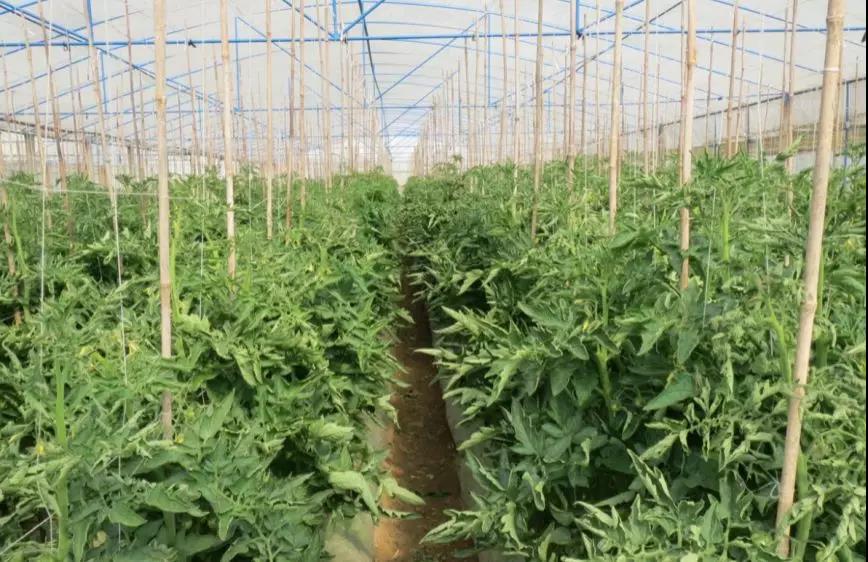 微信圖片_20200103144333.jpg 微信圖片_20200103144333.jpg