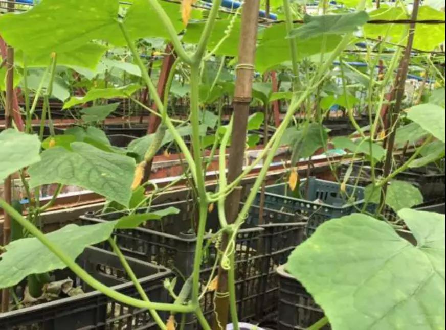 微信圖片_20200103144338.jpg 微信圖片_20200103144338.jpg