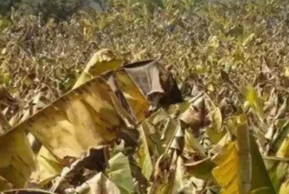 微信圖片_20200103144342.jpg 微信圖片_20200103144342.jpg