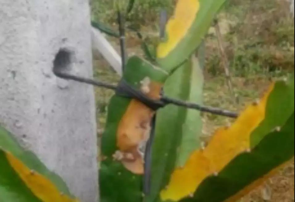 微信圖片_20200103144345.jpg 微信圖片_20200103144345.jpg