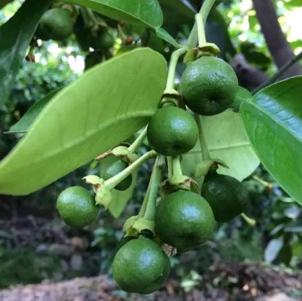 微信圖片_20200507142436.png 微信圖片_20200507142436.png