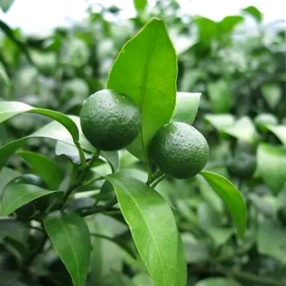 微信圖片_20200507142439.png 微信圖片_20200507142439.png