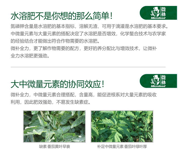 微補全力-(官網(wǎng))_02.jpg 微補全力-(官網(wǎng))_02.jpg