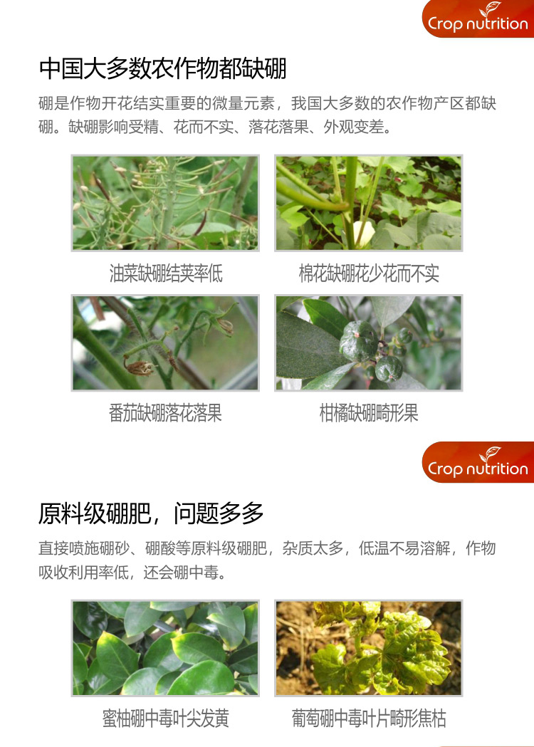 因迪樂(lè )有機海藻硼_02.jpg