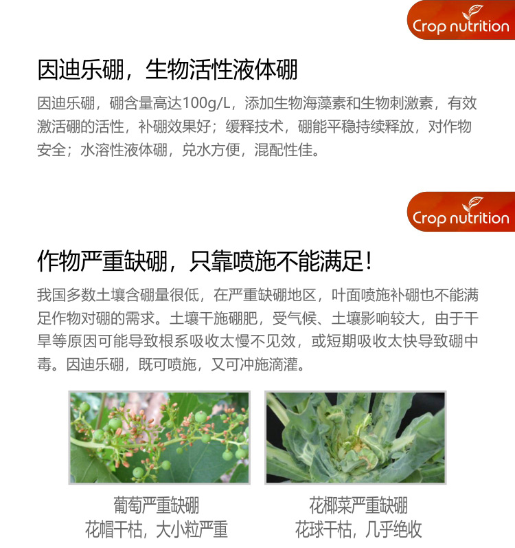 因迪樂(lè )有機海藻硼_03.jpg