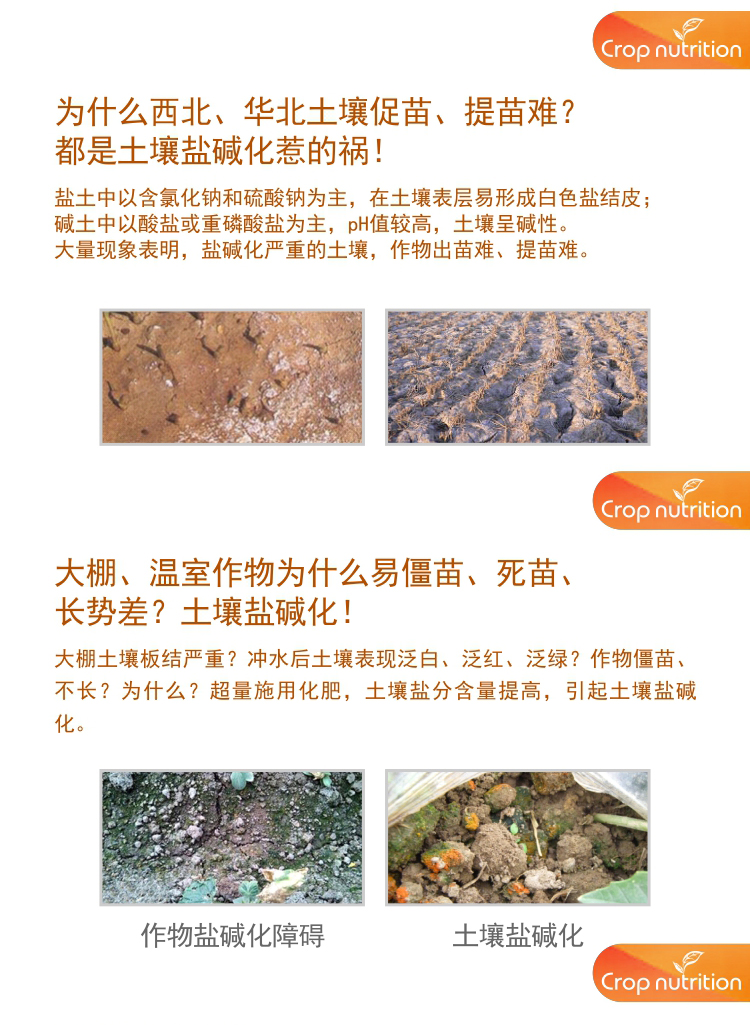 因迪樂(lè )有機鹽堿土調理水溶肥1_02.jpg