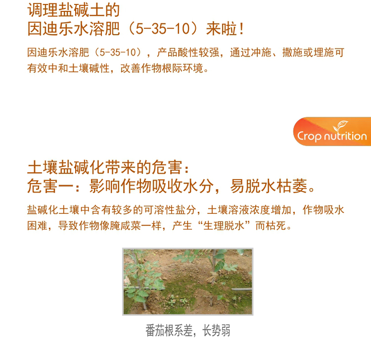 因迪樂(lè )有機鹽堿土調理水溶肥1_03.jpg