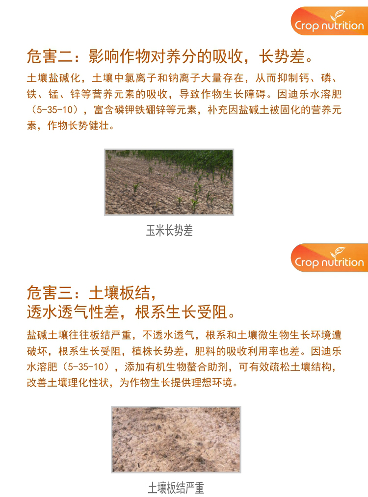 因迪樂(lè )有機鹽堿土調理水溶肥1_04.jpg