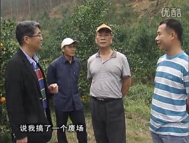 20160118珠江臺搖錢(qián)樹(shù)：貢柑用微補全年營(yíng)養方案，黃樹(shù)翻身還高產(chǎn)增果