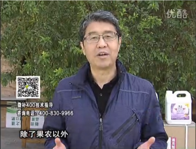 20160321珠江臺搖錢(qián)樹(shù)：柑橘用微補方案，百萬(wàn)收入不是夢(mèng)