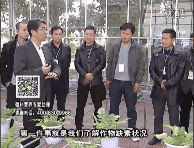 20160418珠江臺搖錢(qián)樹(shù)：和重慶種植業(yè)主走進(jìn)微補，探秘微補生產(chǎn)研發(fā)技術(shù)