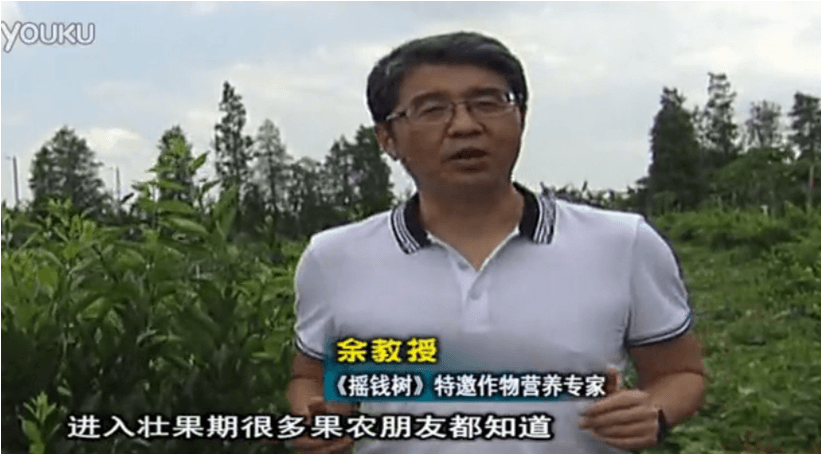 20160620珠江臺搖錢(qián)樹(shù)：柑橘淋微補調力、噴蓋力+壯力，調酸壯長(cháng)勢、膨果防裂好
