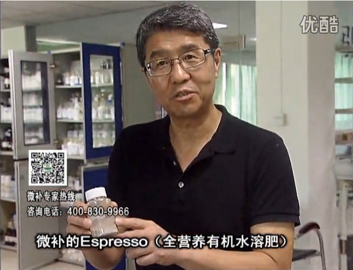 20160822珠江臺搖錢(qián)樹(shù)：柑橘秋梢淋沖因迪樂(lè )精華粉，補充有機營(yíng)養，健壯果樹(shù)