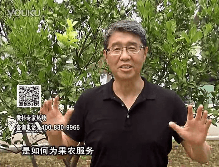 20160912珠江臺搖錢(qián)樹(shù)：針對果場(chǎng)面積、缺素營(yíng)養、設施管理、投入產(chǎn)出，微補做個(gè)性化定制服務(wù)