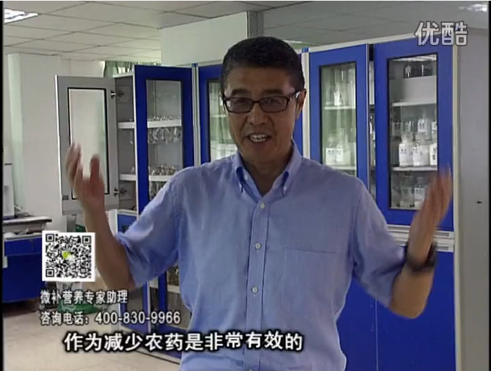 20161024珠江臺搖錢(qián)樹(shù)：種植作物調酸、平衡營(yíng)養、提高抗病力能大大降低病害發(fā)生和農藥使用量