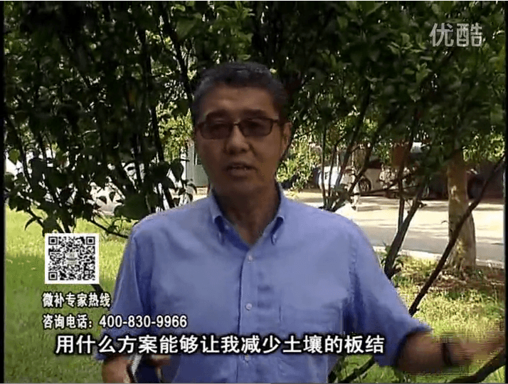 20161031珠江臺搖錢(qián)樹(shù)：減少化肥使用量、土壤少板結有辦法