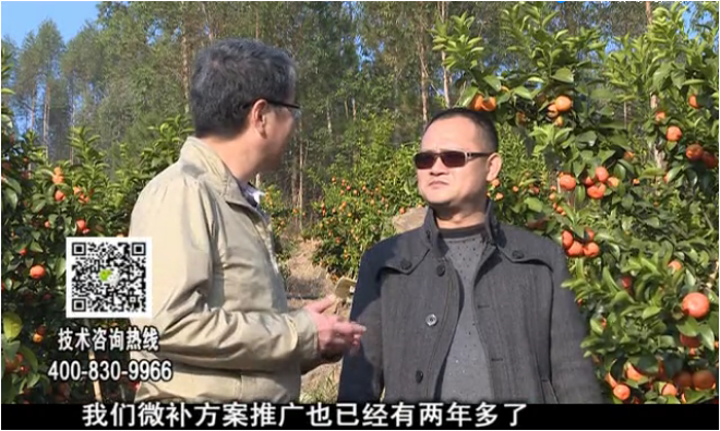 20180122珠江臺搖錢(qián)樹(shù)：廣西柑橘如何管？產(chǎn)量賣(mài)相好?