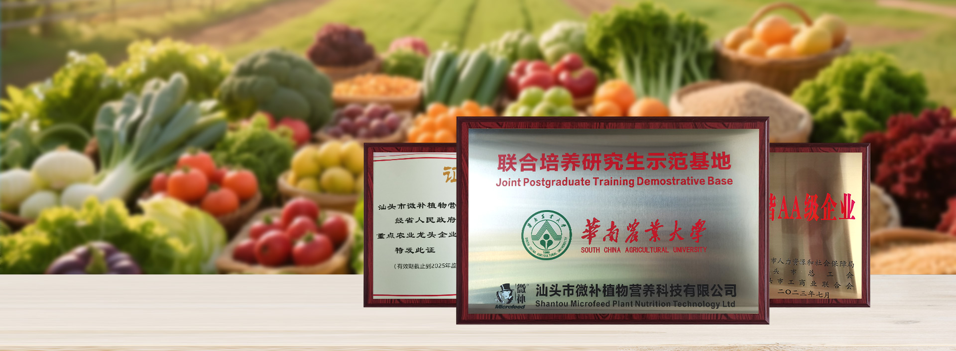 個(gè)性化定制