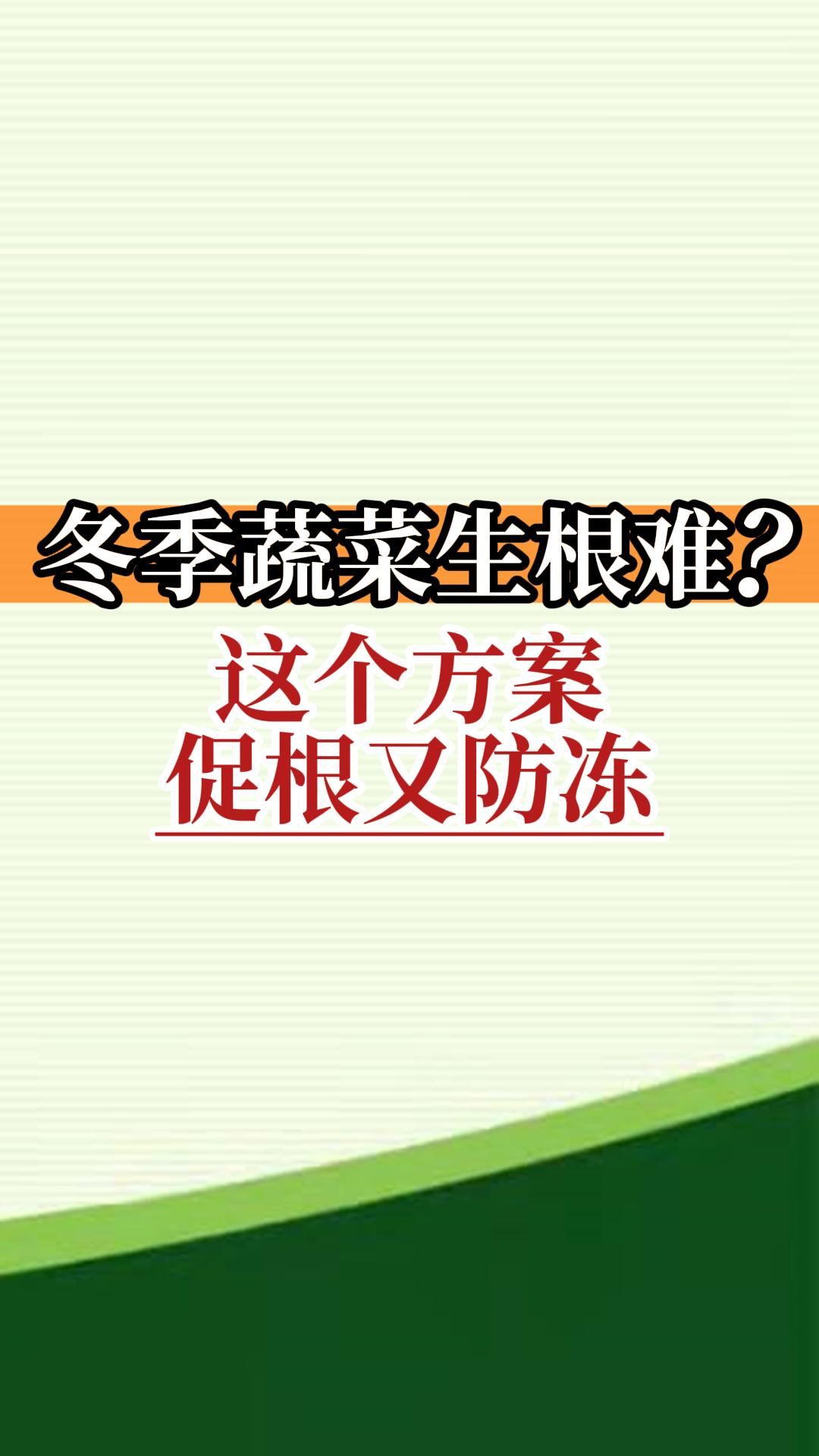 冬季蔬菜生根難？這個(gè)方案促根又防凍