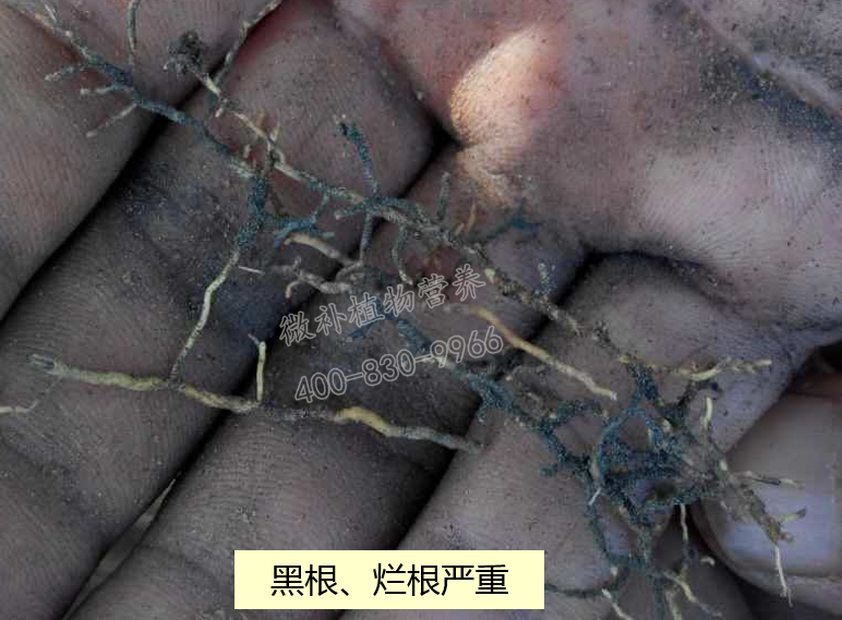 課堂 (2)