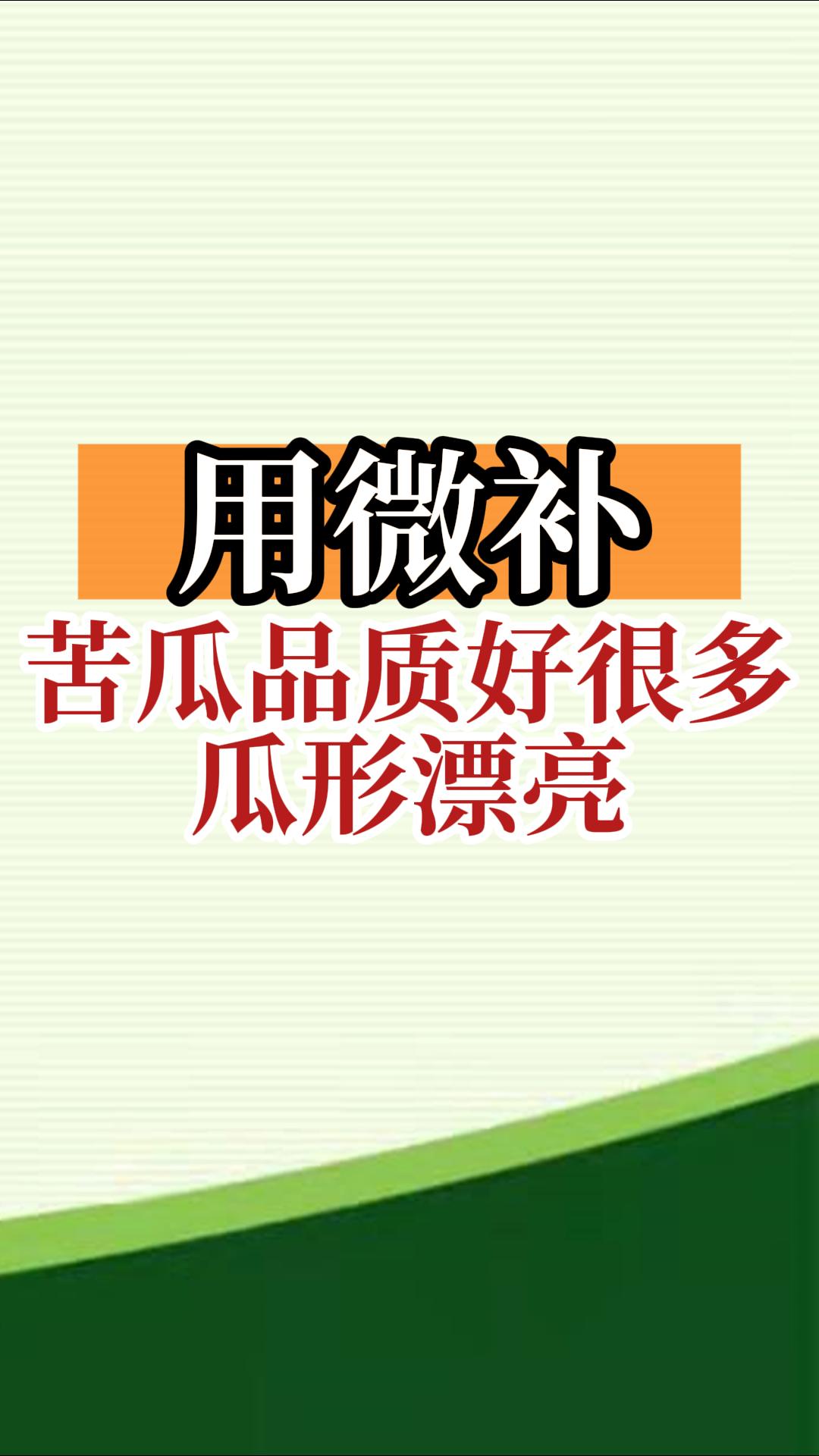 用微補，苦瓜品質(zhì)好很多，瓜形漂亮