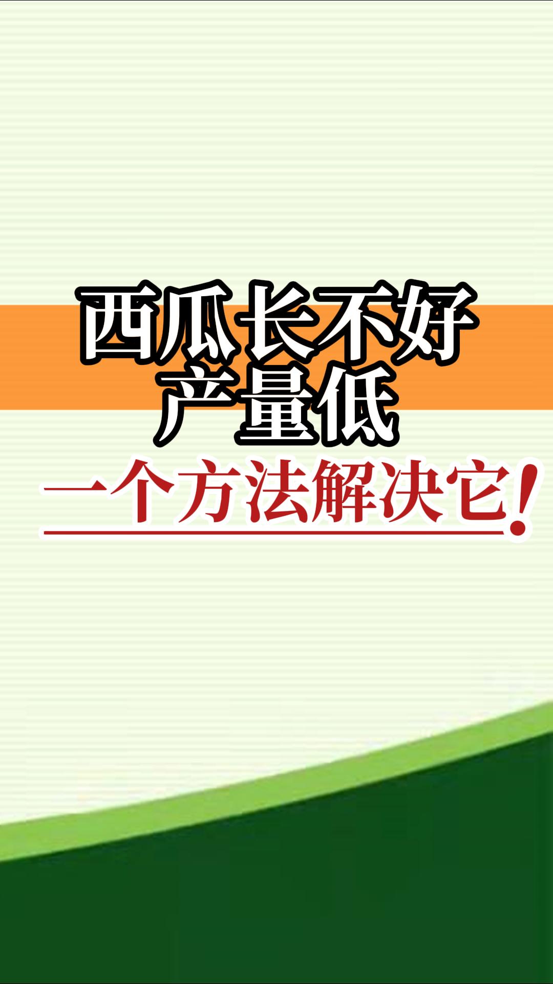 西瓜長(cháng)不好產(chǎn)量低？