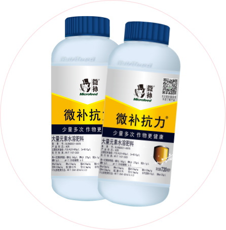 如何做好冬季清園，減少來(lái)年病蟲(chóng)害影響